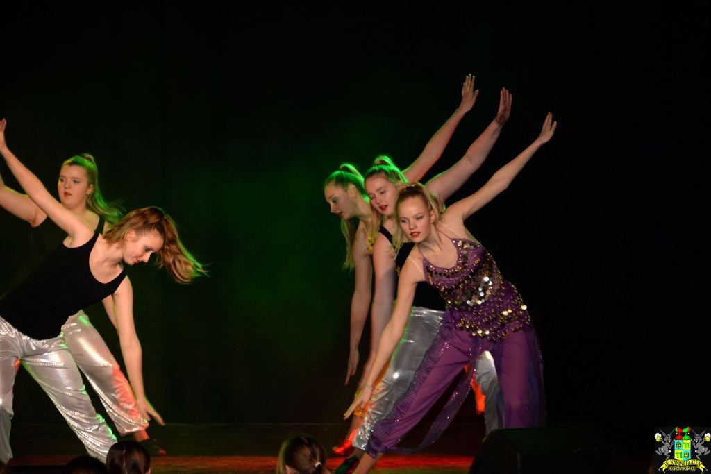 ../Images/Dansmarieke festival 2018 360.jpg